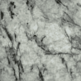 Florenza White poli