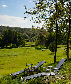 Nos chaises longues